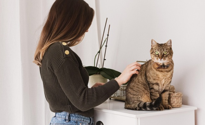 Paws Pet Grooming